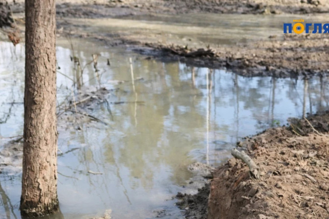 Погляд — новини Київщини онлайн - a16394c9-624a-44ff-a55a-989c47776672 - зображення